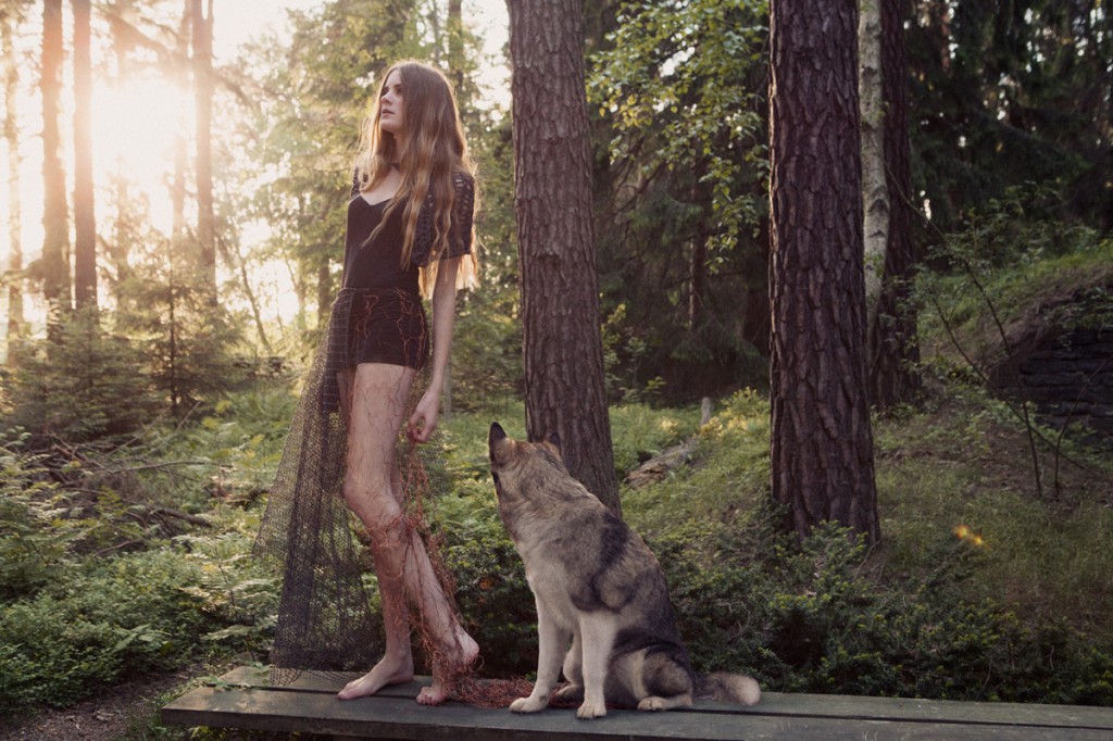 Return of the wolf by Saga Wendotte for CHASSEUR MAGAZINE