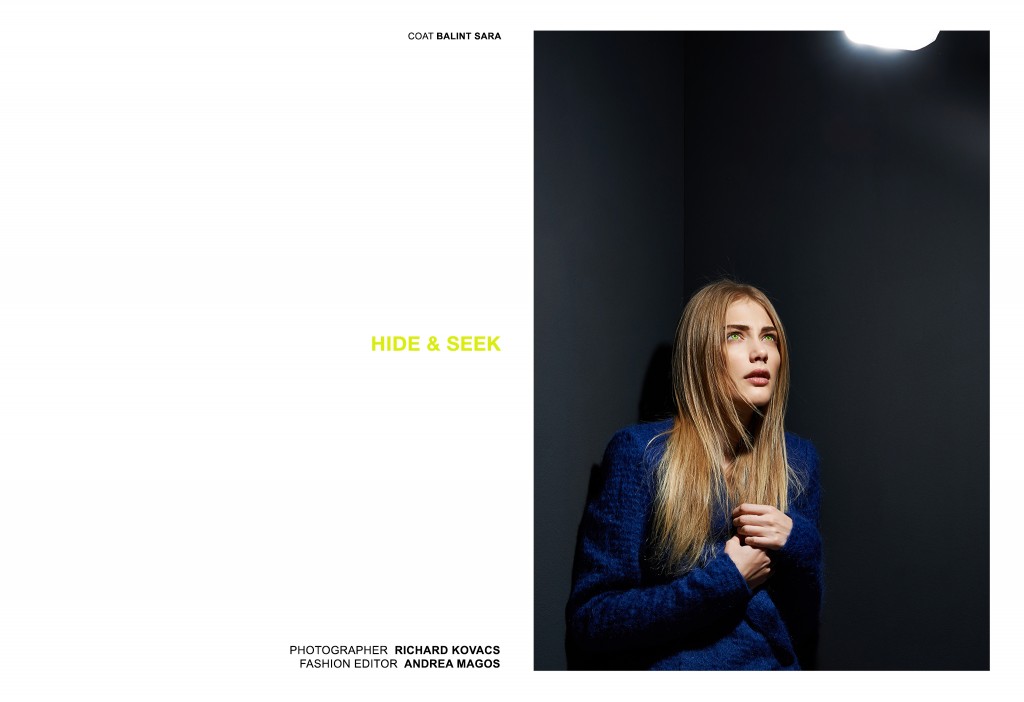HIDE AND SEEK by Richard Kovacs for CHASSEUR MAGAZINE
